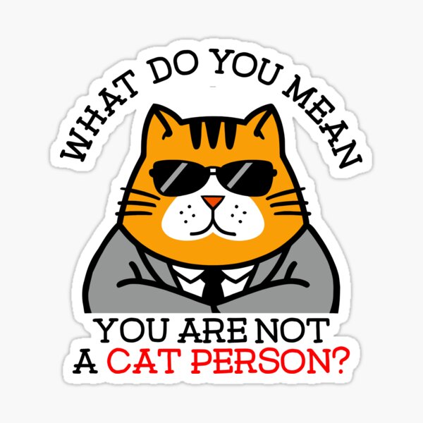Funny boss cat 6 Funny boss cat 6