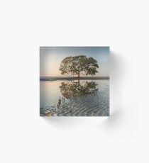 Beachmere tree Acrylic Block
