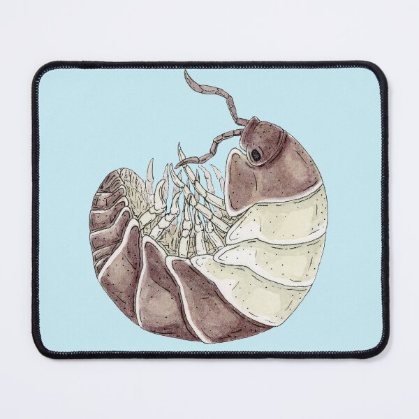 Item preview, Cubaris sp. "Panda King" Isopod designed and sold by paintedpansy.