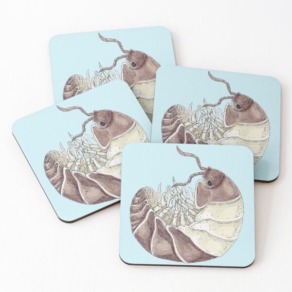 Item preview, Cubaris sp. "Panda King" Isopod designed and sold by paintedpansy.