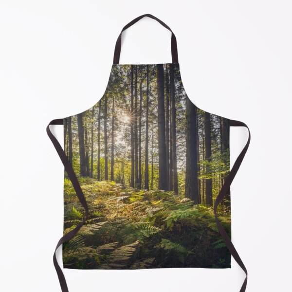 Item preview, Acquerino nature reserve forest. Trees and ferns in the morning. Tuscany, Italy. designed and sold by Stefano Orazzini.