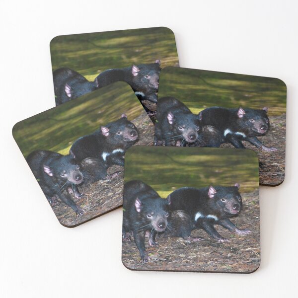 Item preview, TASMANIAN DEVILS designed and sold by Rick Knowles Photo Art.
