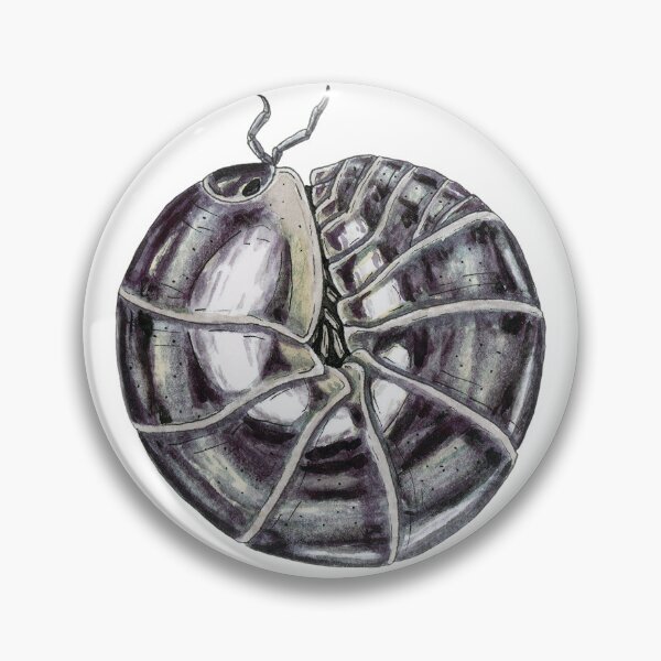 Item preview, Schizidium oertzeni "chrome" Isopod designed and sold by paintedpansy.