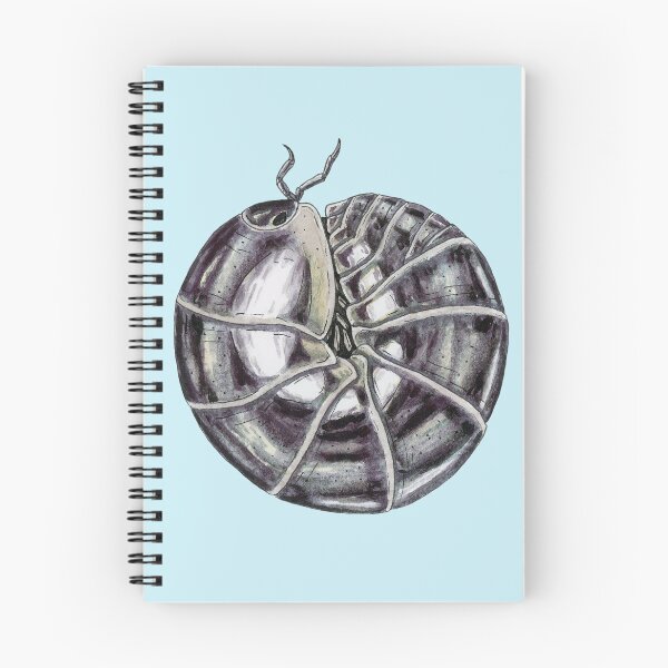 Item preview, Schizidium oertzeni "chrome" Isopod designed and sold by paintedpansy.