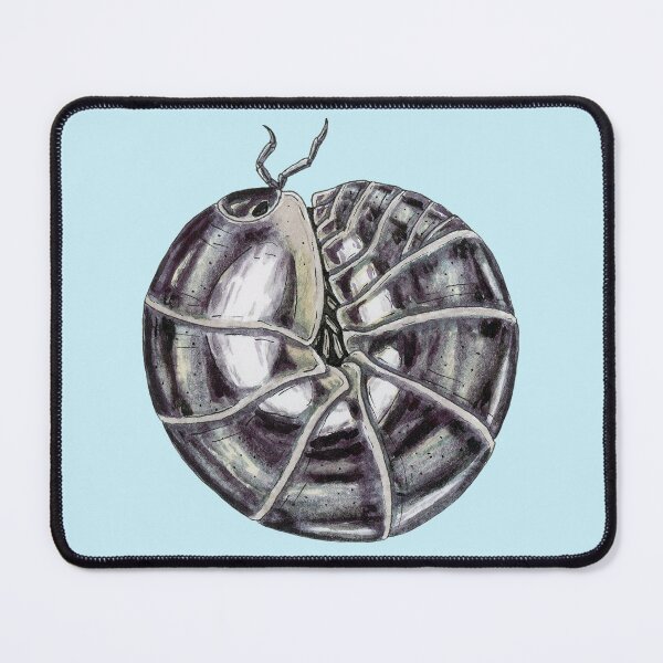 Item preview, Schizidium oertzeni "chrome" Isopod designed and sold by paintedpansy.