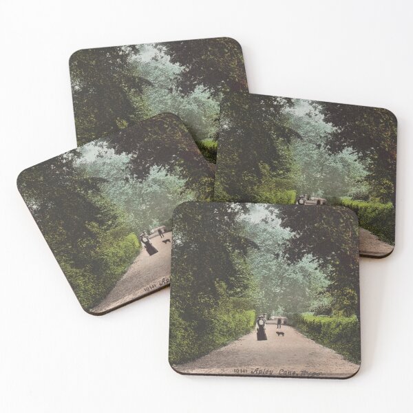 Item preview, Vintage Picture of Apley Lane, Ryde, Isle of Wight, c.1906 designed and sold by The-Hist-Image.