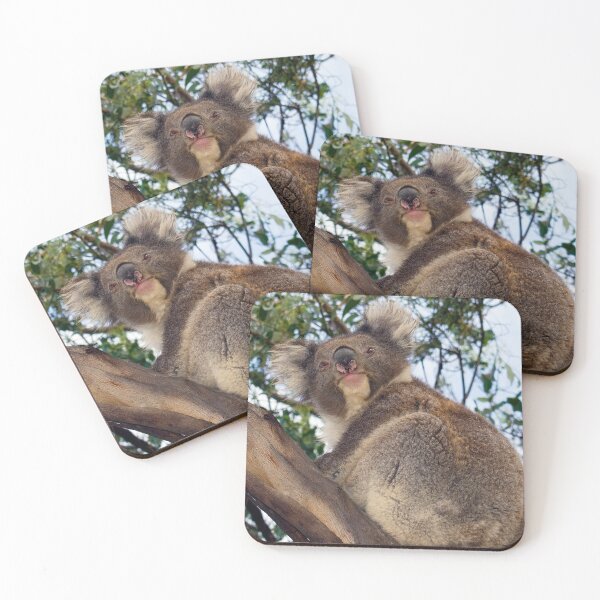 Item preview, KOALA designed and sold by Rick Knowles Photo Art.