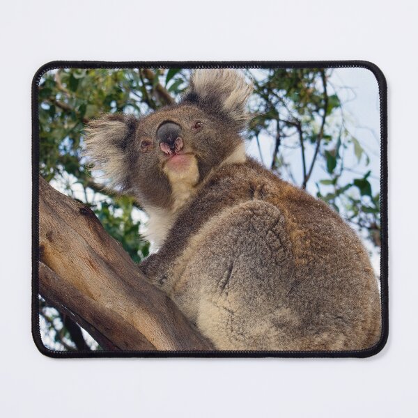 Item preview, KOALA designed and sold by Rick Knowles Photo Art.
