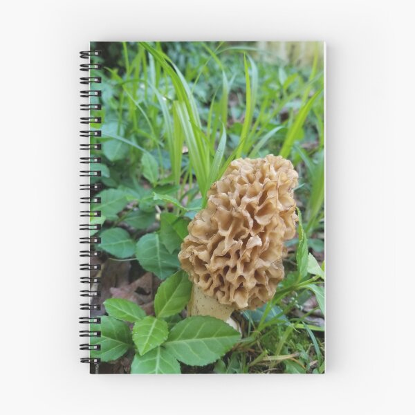 Item preview, Secret Morel designed and sold by ArcSpectre.