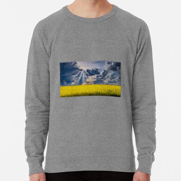 Patterns in the clouds Lightweight Sweatshirt