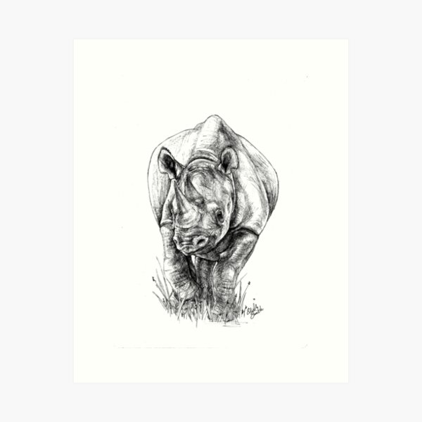 Black Rhino - Big 5 Series Art Print