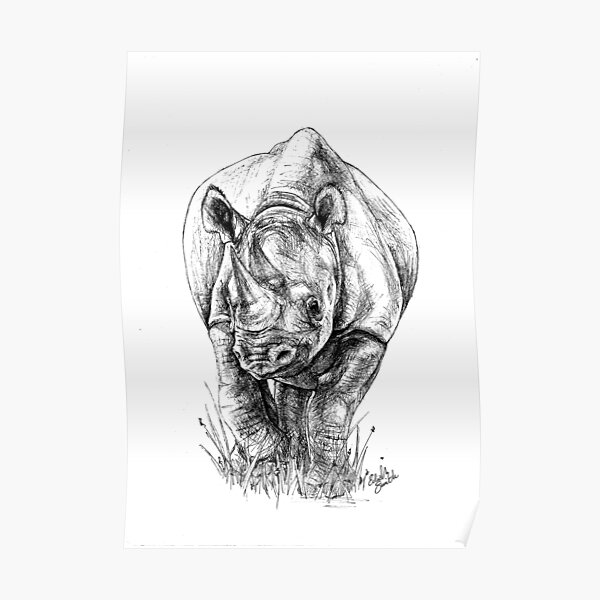 Black Rhino - Big 5 Series Poster