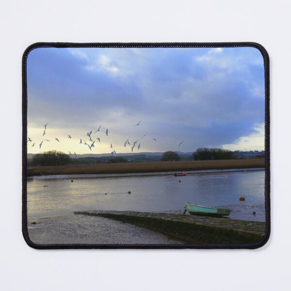 Item preview, Estuary Seagulls designed and sold by Shiva77.