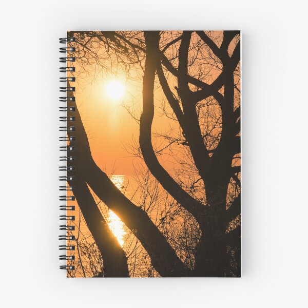 Item preview, Gorgeous Morning Through the Tree Screen designed and sold by Georgia Mizuleva.
