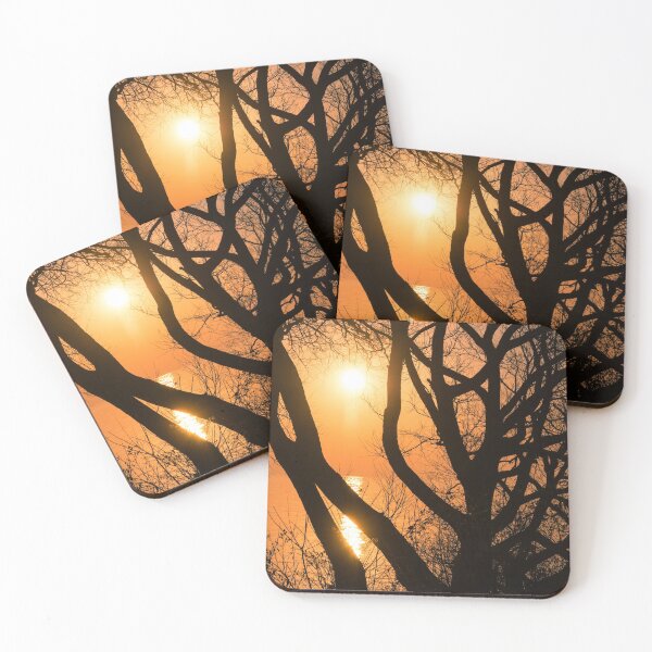 Item preview, Gorgeous Morning Through the Tree Screen designed and sold by Georgia Mizuleva.