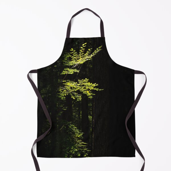Item preview, Saplings Soak up the Sun in the Old Growth Rainforest designed and sold by JenneRPhoto.