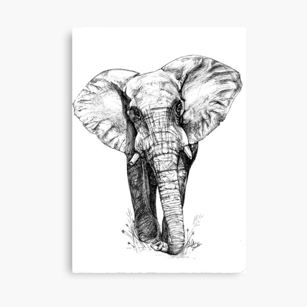 Majestic Elephant - Big 5 Series Canvas Print