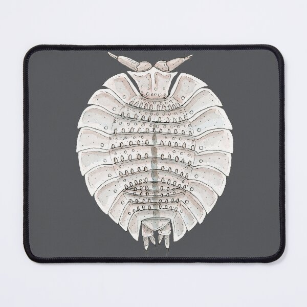 Item preview, Coatonia phylloniscoides Isopod designed and sold by paintedpansy.