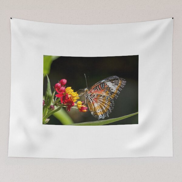 Item preview, Leopard lacewing butterfly designed and sold by pietrofoto.