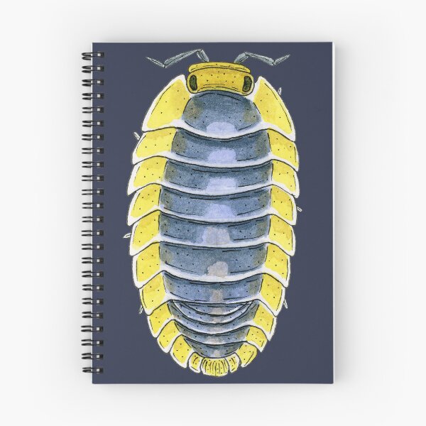 Item preview, Cubaris sp. "Lemon Blue" Isopod designed and sold by paintedpansy.