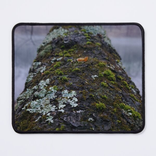 Item preview, Mossy Tree designed and sold by pocketurtle.