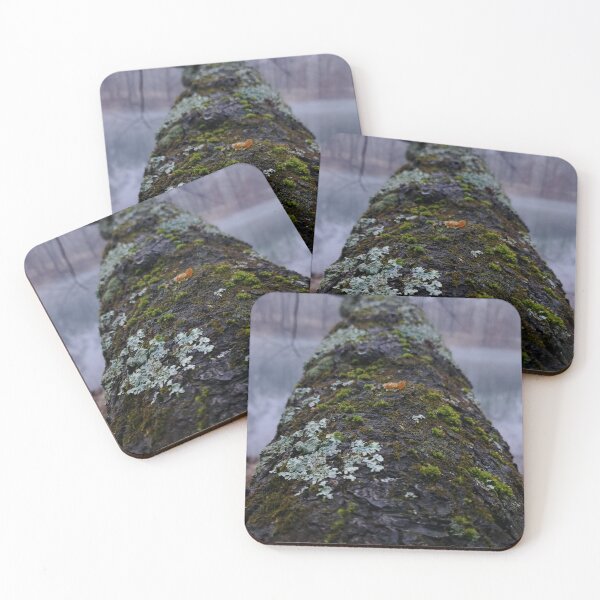 Item preview, Mossy Tree designed and sold by pocketurtle.