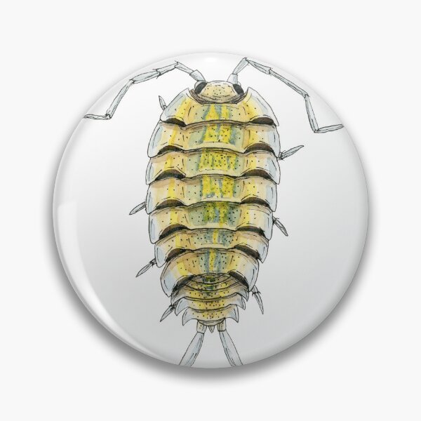 Item preview, Porcellio bolivari Isopod designed and sold by paintedpansy.