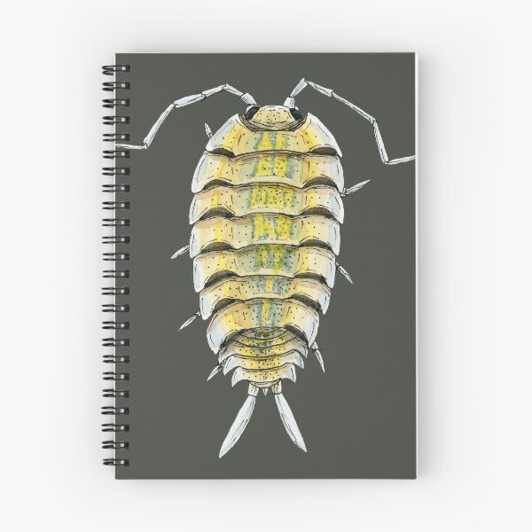Item preview, Porcellio bolivari Isopod designed and sold by paintedpansy.