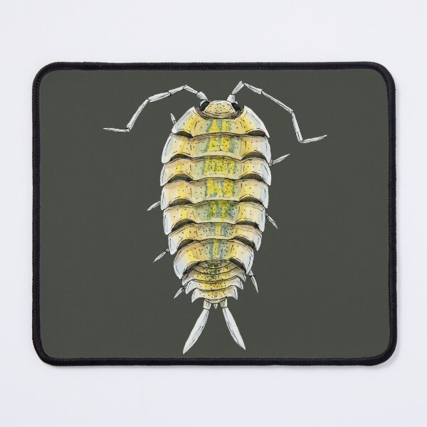 Item preview, Porcellio bolivari Isopod designed and sold by paintedpansy.
