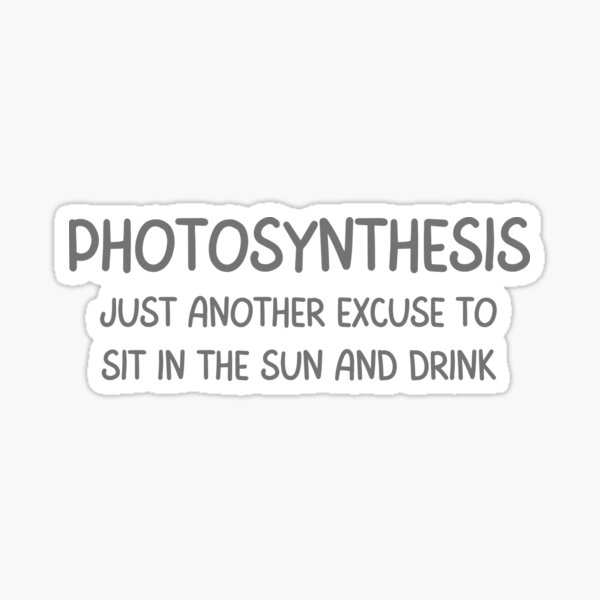 photosynthesis-just-another-excuse-to-sit-in-the-sun-and-drink