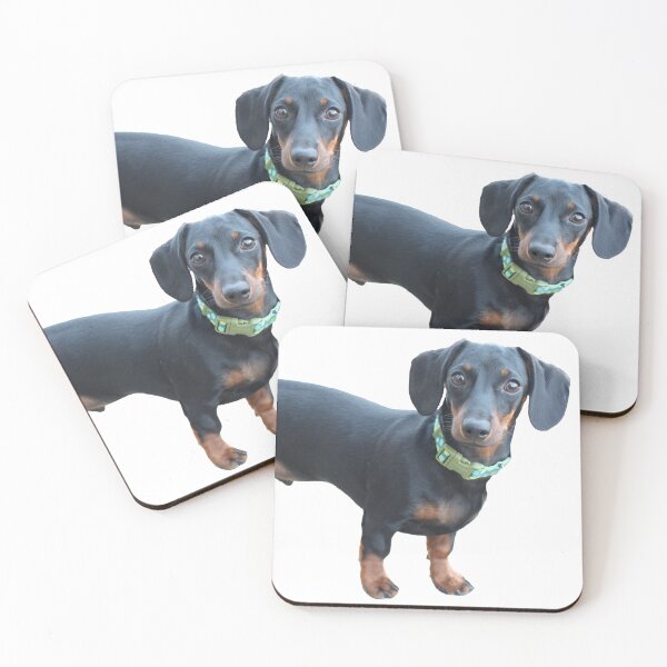 Item preview, Dachshund Dog Funny Look designed and sold by Jessica Weiss.