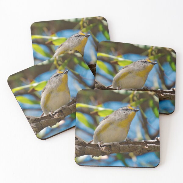 Item preview, PARDALOTE ~ Striated Pardalote by David Irwin xtbZbBLD  designed and sold by tasmanianartist.