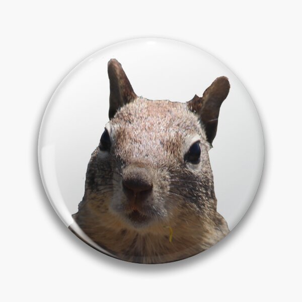 Item preview, Squirrel cut out funny designed and sold by Jessica Weiss.