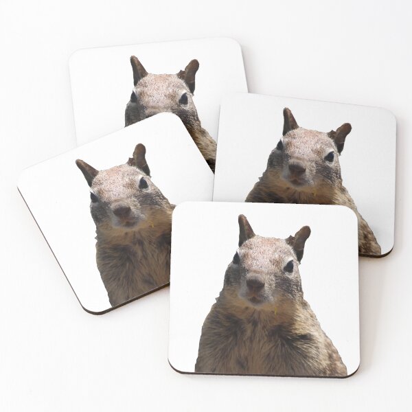 Item preview, Squirrel cut out funny designed and sold by Jessica Weiss.