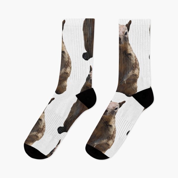 Item preview, Squirrel cut out funny designed and sold by Jessica Weiss.