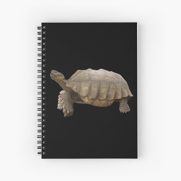 Item preview, Sulcata Tortoise (side view) designed and sold by misimichu.