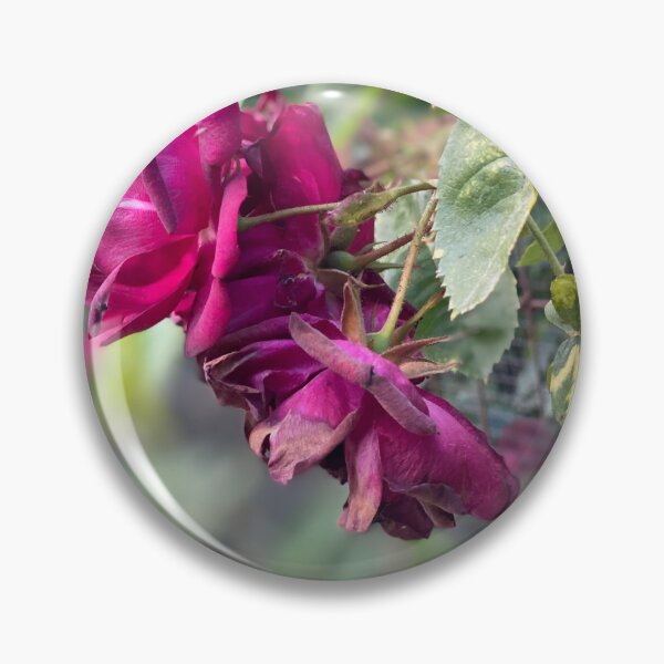 Item preview, Dropping Petals designed and sold by Devonclima.