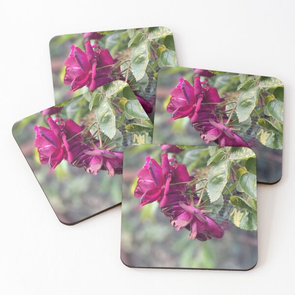 Item preview, Dropping Petals designed and sold by Devonclima.