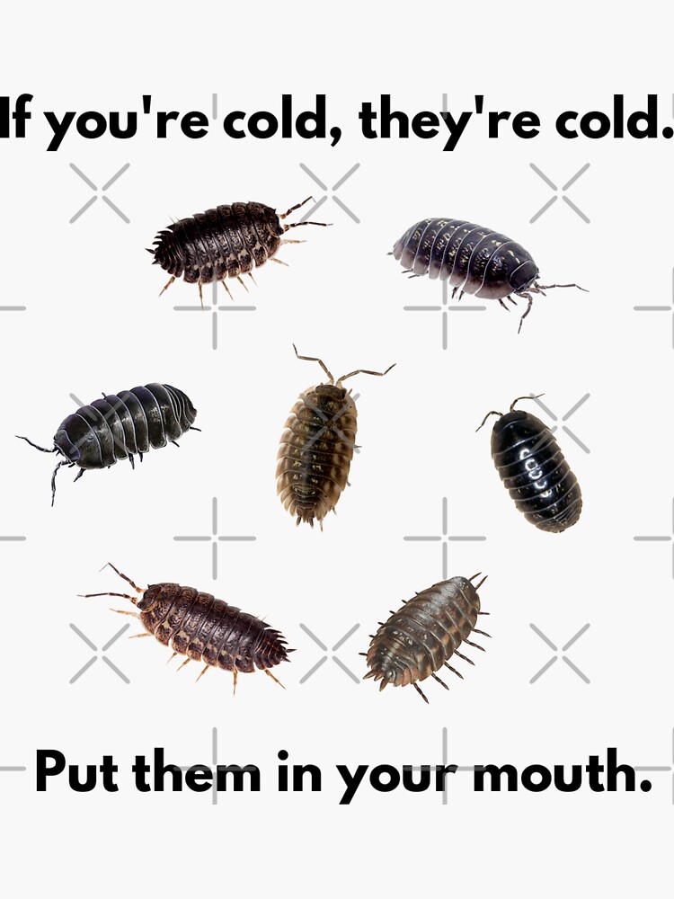 If you’re cold, they’re cold. 