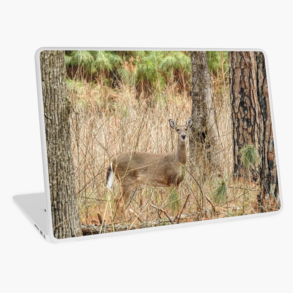 Item preview, Laptop Skin designed and sold by tkdgirlms.