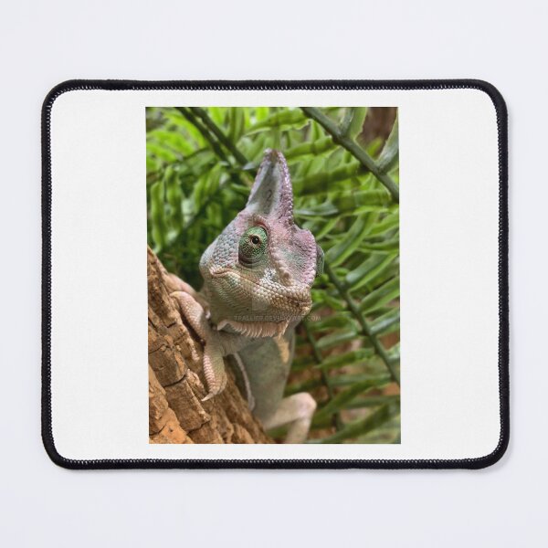 Item preview, CAPTIVE CHAMELEON designed and sold by trevorp.