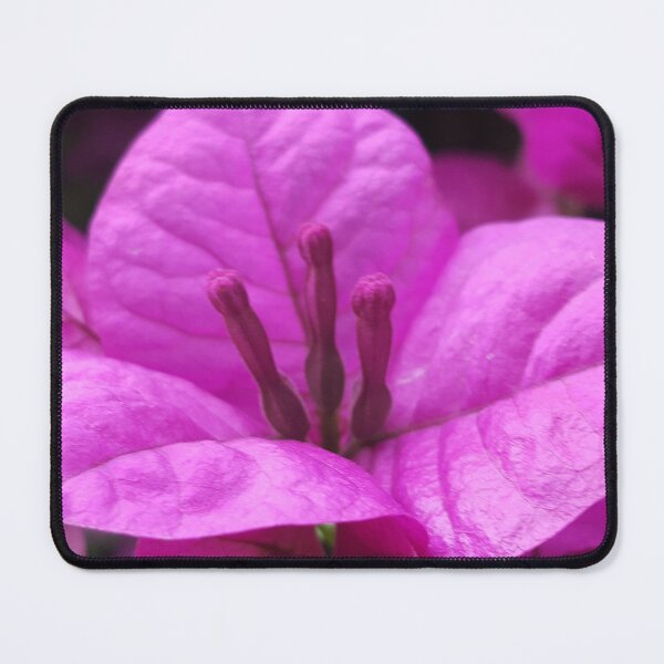 Item preview, Bougainvillea flower designed and sold by Rocco Dimase.