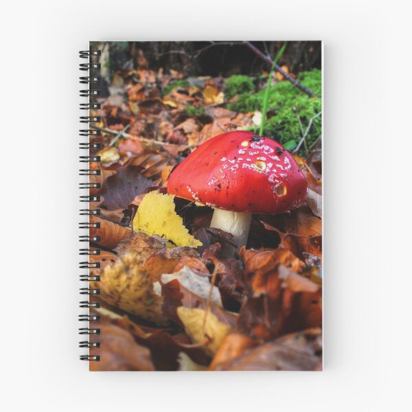 Item preview, Surrounded by Leaves designed and sold by Vicki Spindler (VHS Photography).
