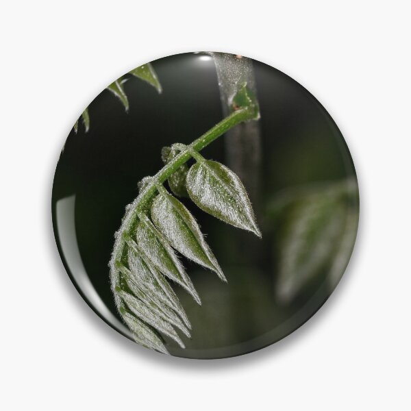Item preview, First Closeups in 2023 (19) designed and sold by Wolf Sverak Photography.