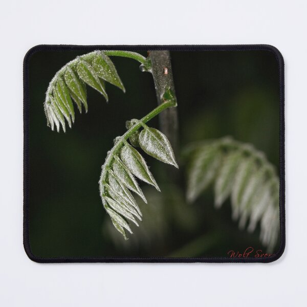 Item preview, First Closeups in 2023 (19) designed and sold by Wolf Sverak Photography.
