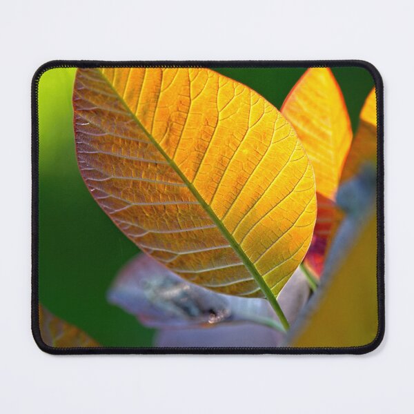Item preview, First Closeups in 2023 (18) designed and sold by Wolf Sverak Photography.