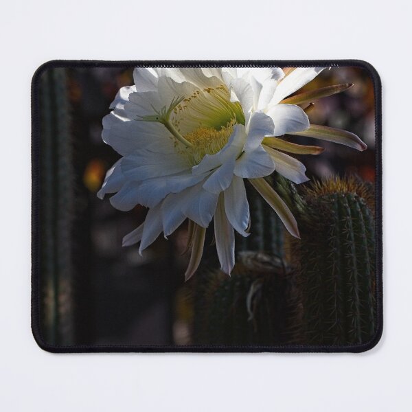 Item preview, First Closeups in 2023 (17) designed and sold by Wolf Sverak Photography.