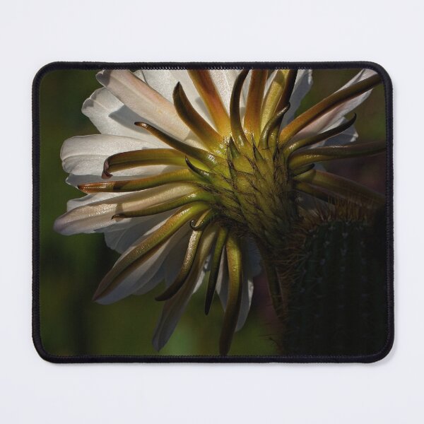 Item preview, First Closeups in 2023 (16) designed and sold by Wolf Sverak Photography.