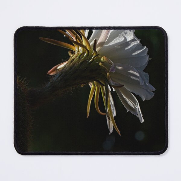 Item preview, First Closeups in 2023 (15) designed and sold by Wolf Sverak Photography.