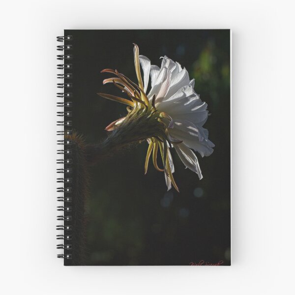 Item preview, First Closeups in 2023 (15) designed and sold by Wolf Sverak Photography.